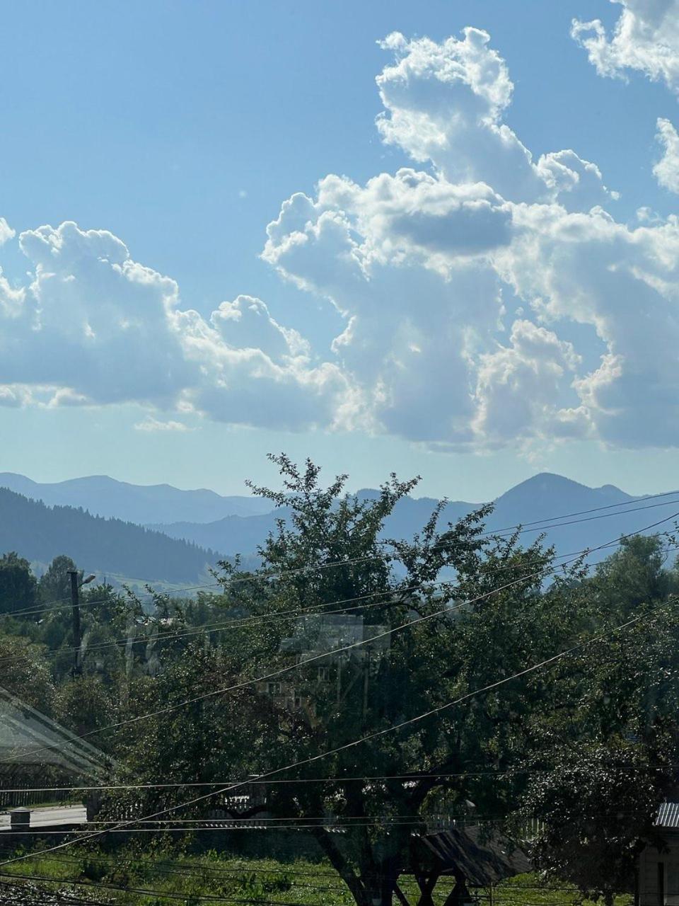 Domashnya Oselya Apartment Verkhovyna Bagian luar foto